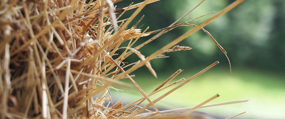 image straw in front of the barn